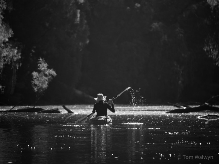 Even without colour-saturating the peace is enthralling