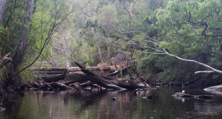 The upper limit of possible exploration