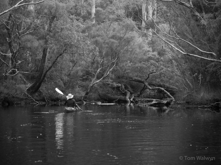 Weaving a path back down