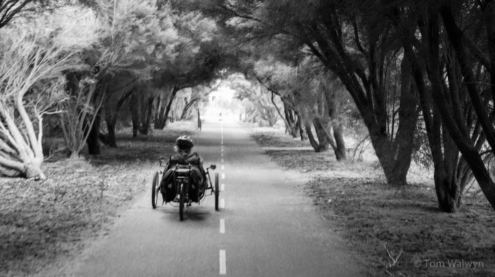 Lots of the cycleways look over the sea, but some takes you a bit further away.  The trike rides like a pedal-powered go-kart, with cornering as fast as you dare being a big part of the fun