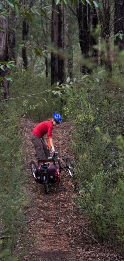 a further diversion onto the Munda Biddi goes better than you might think. Barring a couple a steeper, looser bits where the trike's fully slick tyres force Sarah to lift more than Bryn's weight...