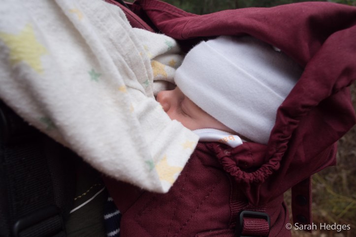 Walking too - a car left at the end of a Bibbulman segment, biked back (Tom).  Bryn blissfully snug doesn't notice a thing (just don't stop!)