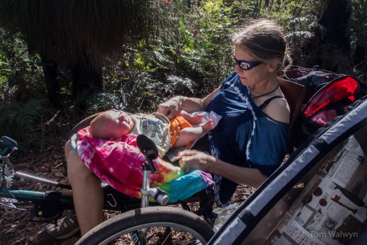 what goes in, must come out