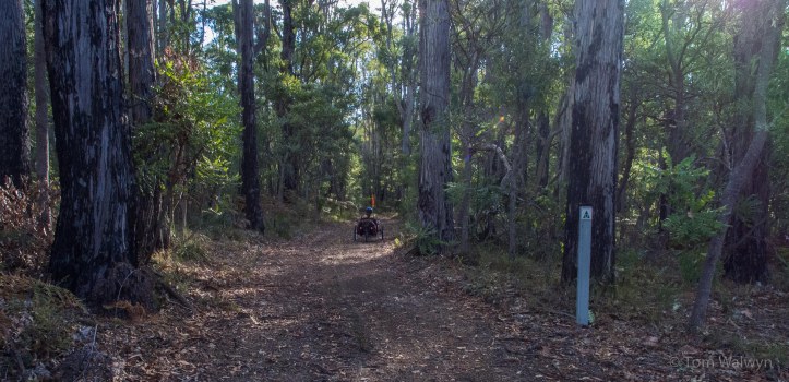 The Les Cousins bridle-horse trail.  Works well for (bi/tri)cycles too