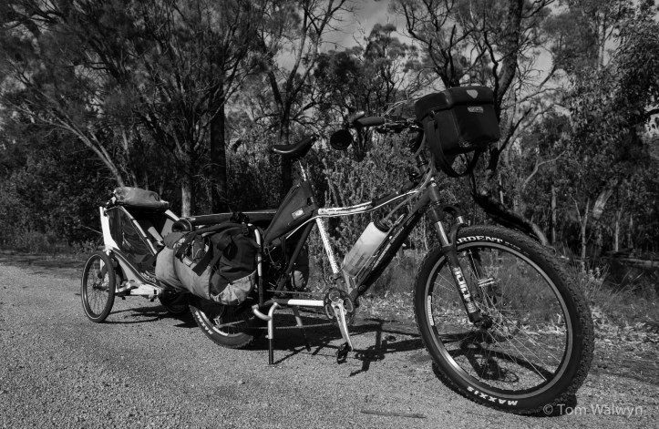 The full 'train' loaded up. After the last off-road chariot-pulling experience, I've put better mtb tyres on. The rear 26x2.4" Maxxis Ardents only just fit the Big Dummy frame.