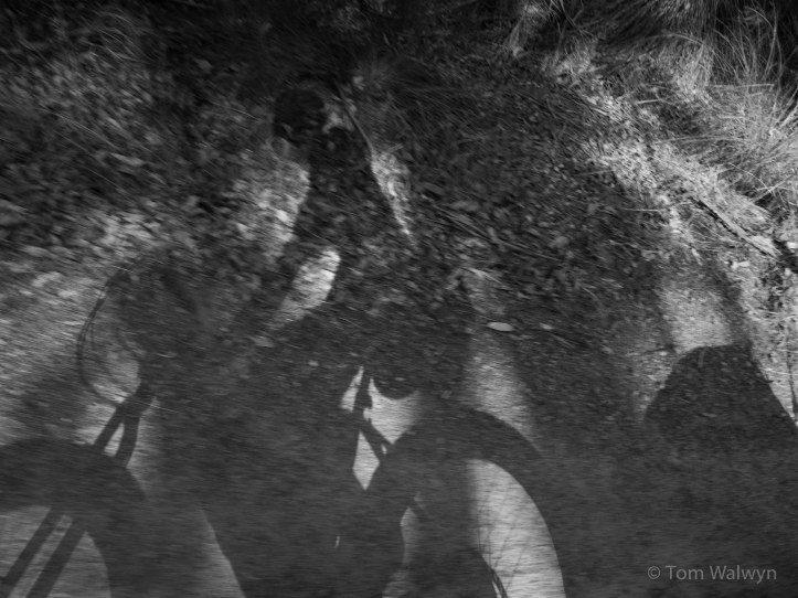 Bryn's behind me - getting some more trailer pulling practice - this time on the fat-bike