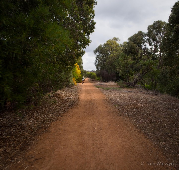 Tim's got a new (old) bike, so enthusiasm takes him ahead of us lazies
