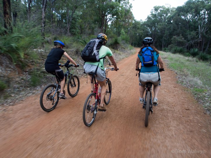 before letting us catch up