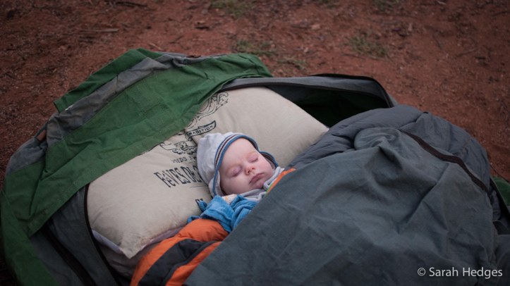 A comfy swag instead of a tiny thermarest - one of the luxuries of car camping.  Sometimes we just sleep out under the stars.