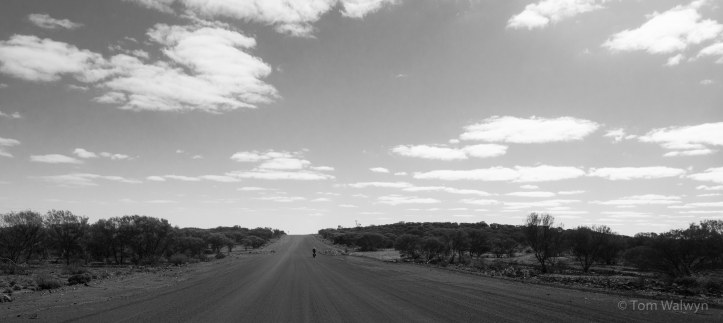 40km out from the start in Wiluna, and a similar distance at the end into Billiluna were graded and fast.  Big skies already a constant though, for us, the clouds were unusual