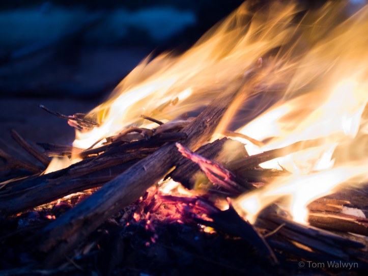 leading to a time to sigh, maybe talk, and let the food start the recovery in time for bed. Dark determined