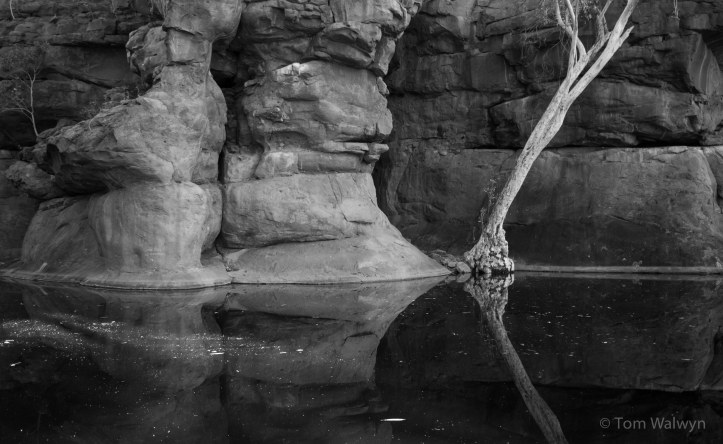 Durba Springs - an amazing place to rest and restore. The water's drinkable with a slight salty-edge when filtered