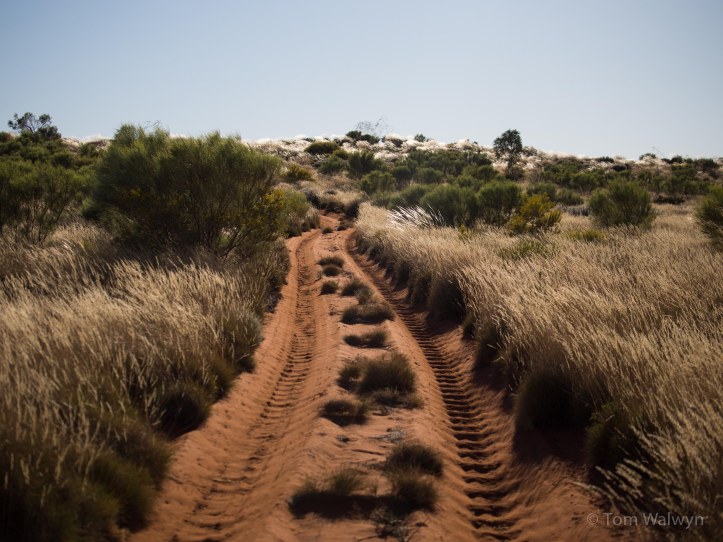 nothing to do but ride the corrugations
