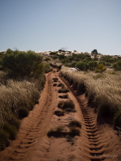 This is what we found hardest - unavoidable, soft corrugations - here leading uphill into a dune