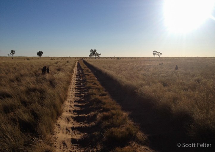 Either side of well 51 - the final stretch of bad corrugations then, for those heading north, it's easy riding
