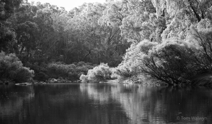 Heading downstream from Sue's Bridge, the Blackwood has just about enough water for making reasonable progress, but not so much that special skill is required.