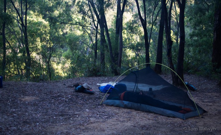 Until he's joined by the rest of us