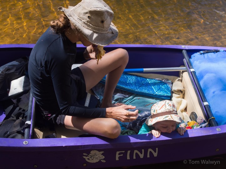 Despite daily progress being pretty lazy - and allowing for everyone to watch the fish