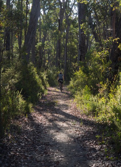 Away from the road, and breathing deeply of the dapple and green.   