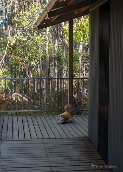 Crawling - he's not going to be content with where he's put anymore.