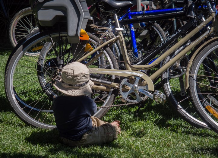 The second day we innocently arrived in Nannup, only to find that there was a music festival on...  This meant a stop to look round, and plenty of bicycles to climb