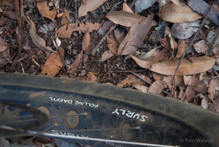 Fat tyres aren't strictly necessary, but they make child-loaded trailers much easier to pull through all the pea-gravel and allow more assured control on the technical bits with Bryn in the Yepp-mini up front.