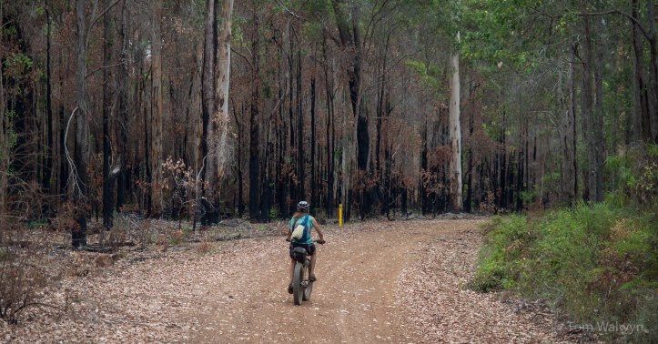 and some reminders that fire is always a danger