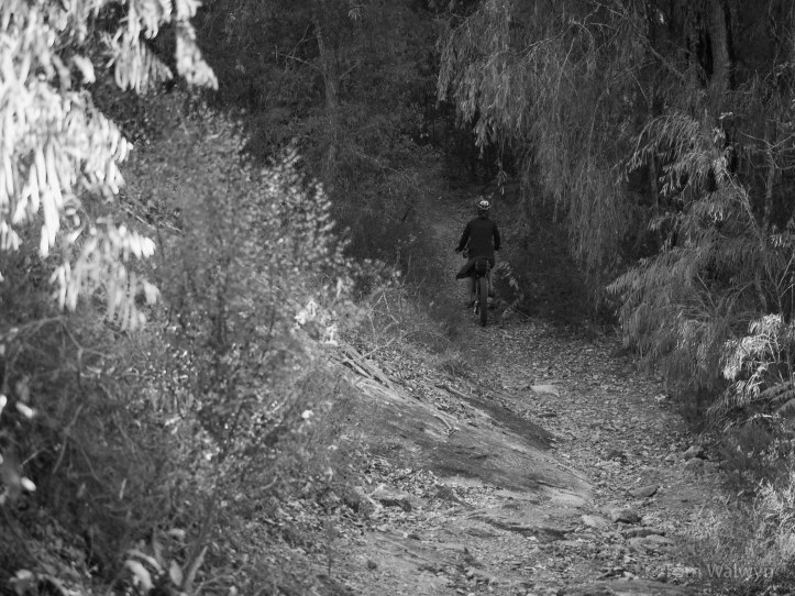 Quickly followed by more riding