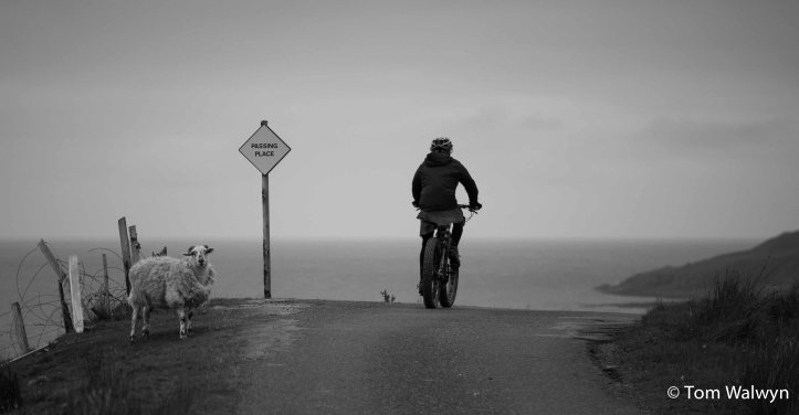 This hour or two is well surfaced, but still not 'main'.  Our fat tyres, that we'd brought to make the bog doable are less ideal now