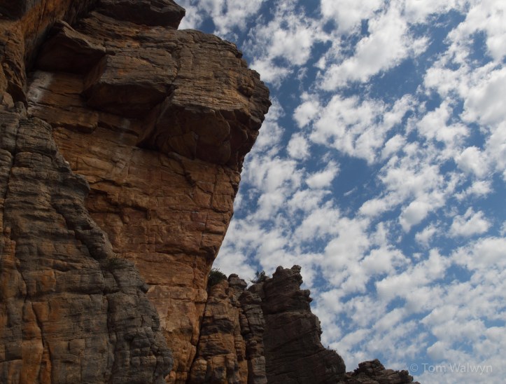 Seemingly innocuous, this roof is near the top of the mountain