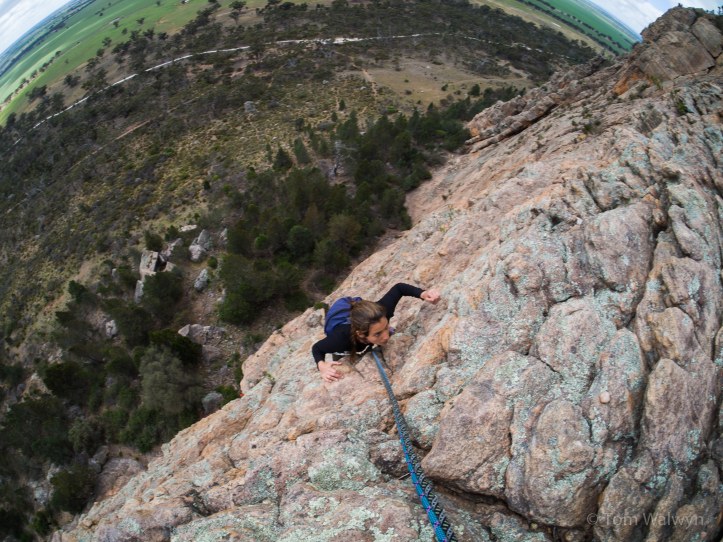 The biggest faces take several rope lengths of upward motion.  This belay ledge is over 100m above our starting point.