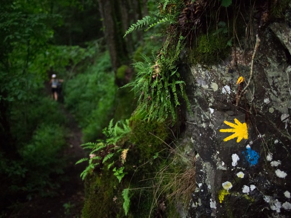 Bicycle Times Bikepacking Europe1 28