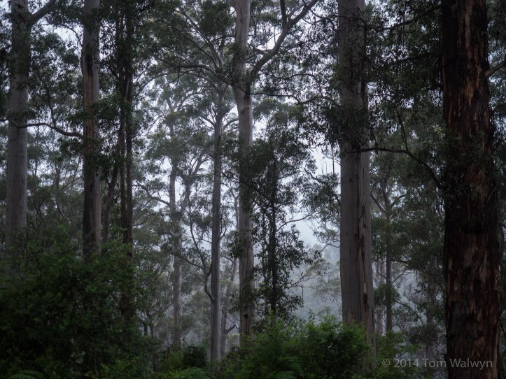 It's pretty soggy the first day