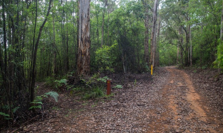 Many times the cycling and walking trails intersect.