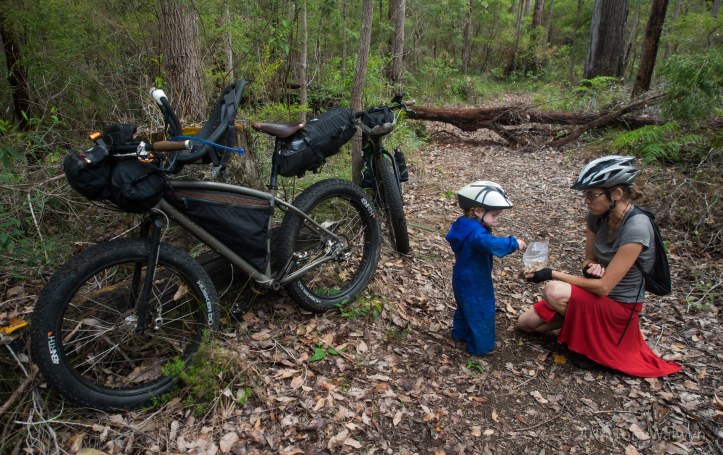 We're trailer-less by accident, but we do get to see how we manage without. Our daily range is reduced a bit - nap-time becomes a static affair, but Bryn copes amazingly with hours on the Yepp-mini