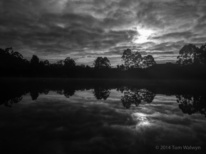 It's got a dam for welcome swimming on warmer days than this