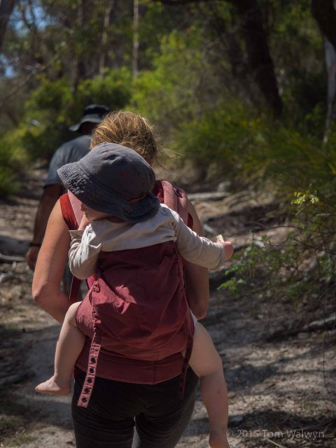 Temperatures passing 30 celcius one afternoon sent us scurrying swimming-wards.  Heading back to camp is a fair bit faster when the over-inquisitive are carried.