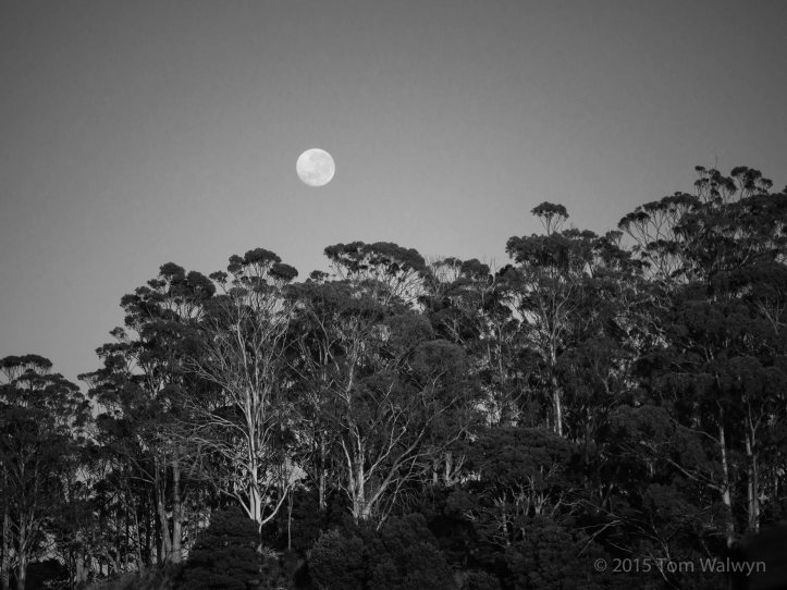 Ian, Kate and Hamish's farm is many of the things we've thought much about
