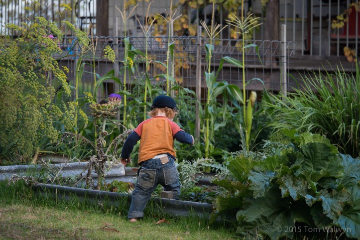 Wendy's place along the coast in Denmark hosts our final night.  Raised beds are  ripe for expoloration