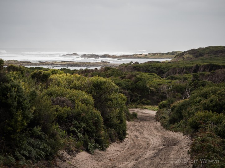 Granville to Pieman Heads is a mixture of well-used 4WD track and beach - all with the ever-present pounding surf