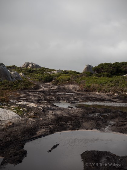 Fat-bikes can skirt the pools without damaging more vegetation.