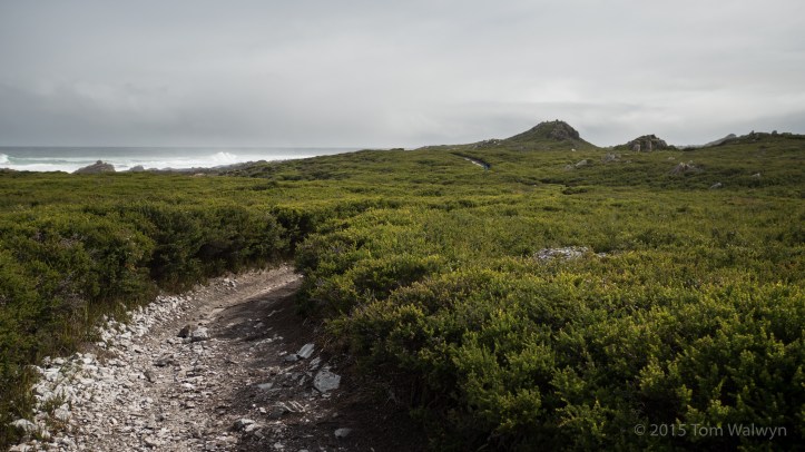 Once we're north of the big river crossing we're onto tracks that haven't seen motorised vehicles for a while (and it shows).