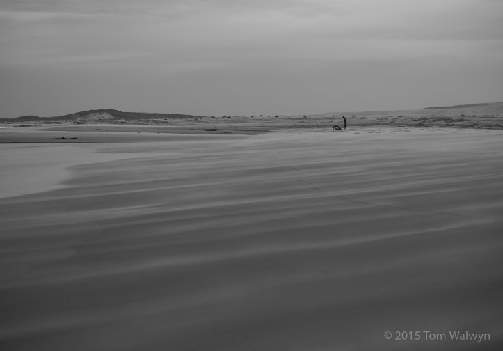 The new wind direction is strongly and unflaggingly offshore - carrying all the loose sand it can find.