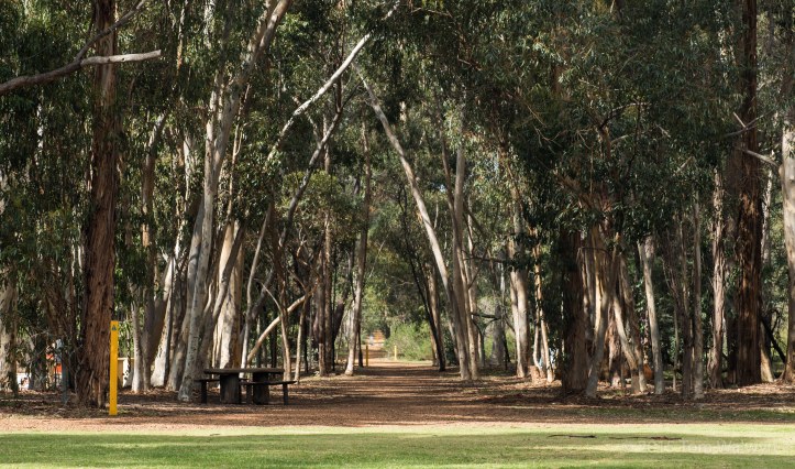 It's also the Northern end of the Munda Biddi track.