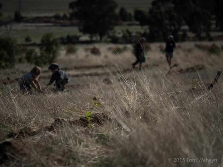 But the separation doesn't last long...