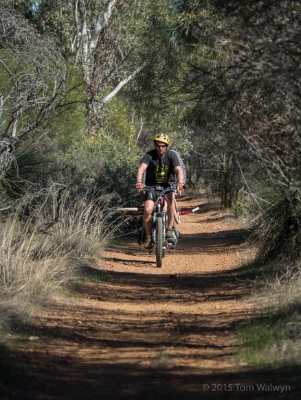 Plan B (a little while later)