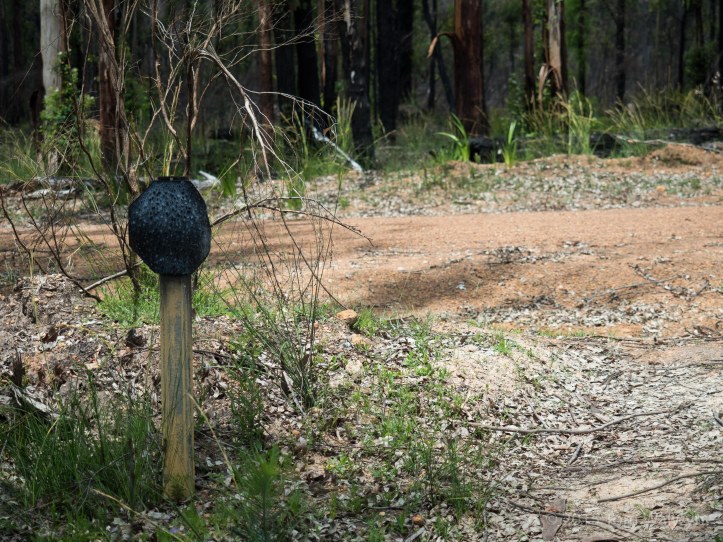 There are salutary reminders of the ferocity and heat of the blaze