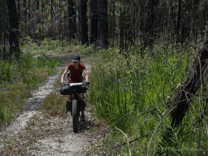 We pass through areas in the glorious, verdant throws of recovery - though still with any colour limited to new-growth-green