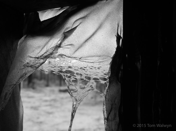 The hut is remarkably intact, but pretty much all plastic is heat-blasted or gone. Unfortunately this includes the pipes from the roof to the rainwater tanks.
