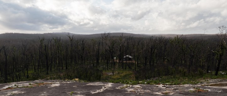 The Yirra Kartta hut was rendered visible from this viewpoint atop the neighbouring granite dome.